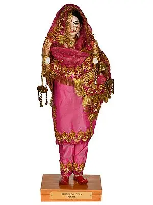 Brides of India: Punjab