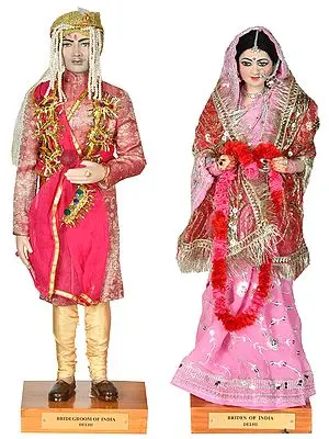 Bride and Bridegroom - Delhi