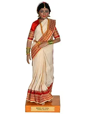 Brides of India: Andhra Pradesh