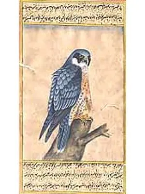 Eagle