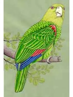 Parrot