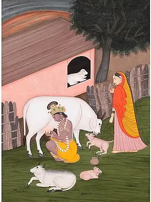 Shri Krishna Milking Cow