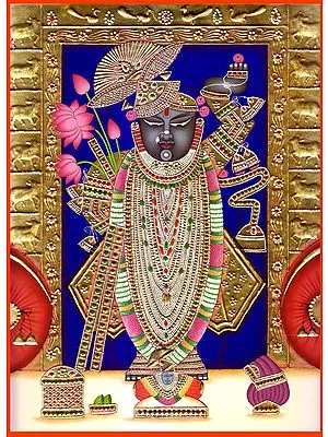 Shri Nath Ji