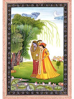 Radha and Krishna with Their Dresses Exchanged