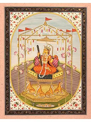 Goddess Bagalamukhi