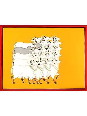 Herd of Cows