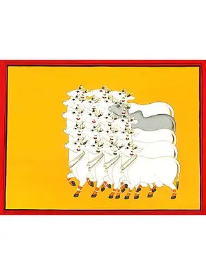 Herd of Cows