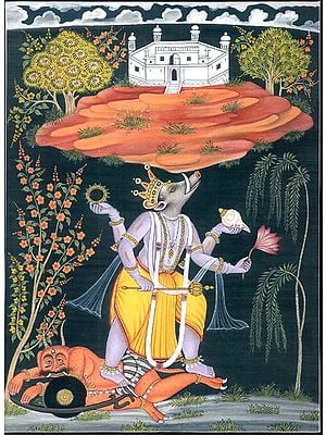 Varaha - Incarnation of Vishnu