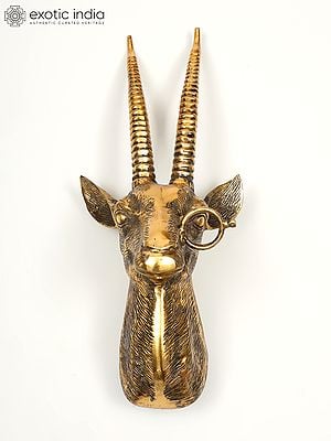 23" Brass Stylish Deer Head | Wall Hanging | Home Decor