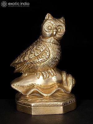 5" Decorative Brass Owl on Conch | Table Decor