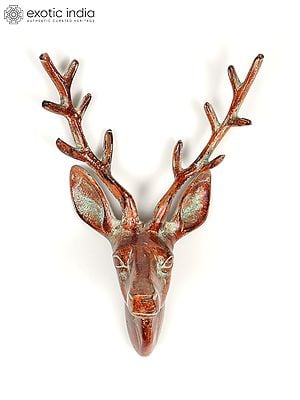 12" Brass Deer Head | Wall Hanging | Home Decor