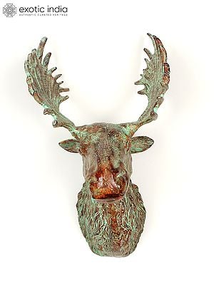 20" Brass Moose Head | Wall Hanging | Home Decor