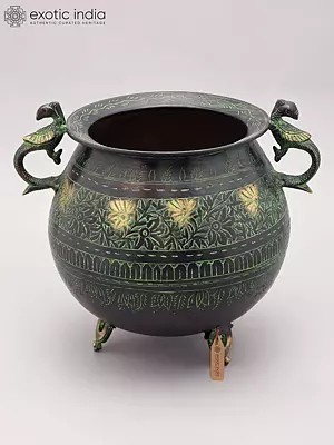 12" Designer Brass Planter with Bird Handles