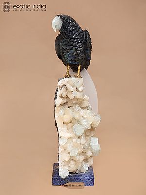 12" Decorative Parrot Statue | Gemstone Art
