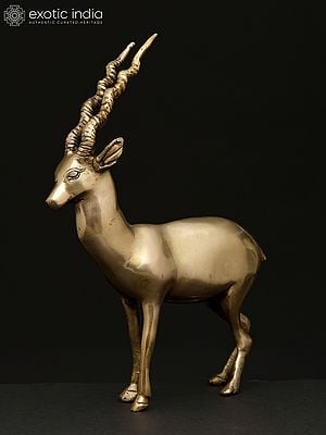 11" Brass Antelope | Decorative Statue | Home Decor