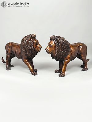 Large Size Pair of Lions