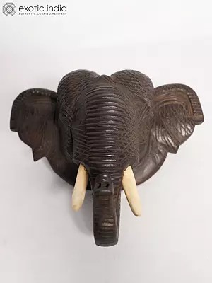 9" Wall Decor Elephant Head In Wood | Handmade Rosewood Figurine