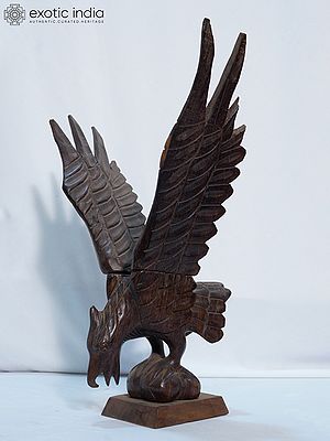 14" The Flying Eagle Sculputre with Intricate Work | Handmade Rosewood Figurine