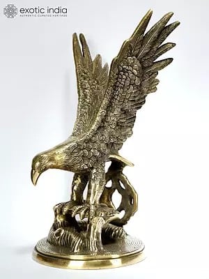 14" Brass Eagle Statue | Decorative Showpiece