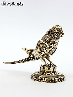 Superfine Decorative Parrot | Brass Statue | Table Decor