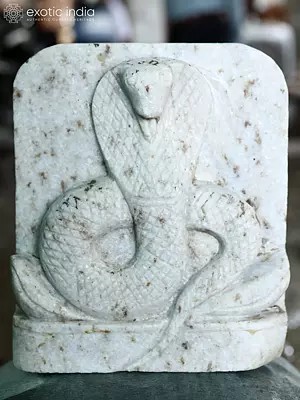 12" The King Cobra - Poisonous Snake | Modern Art Stone Sculpture | Exquisite Indian Art