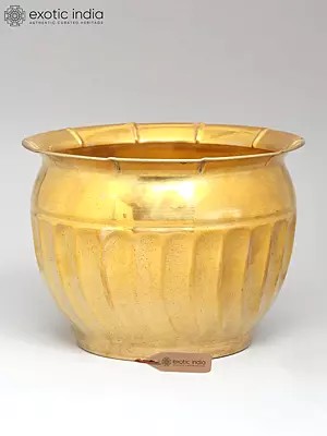 6" Brass Planter for Indoor Plants
