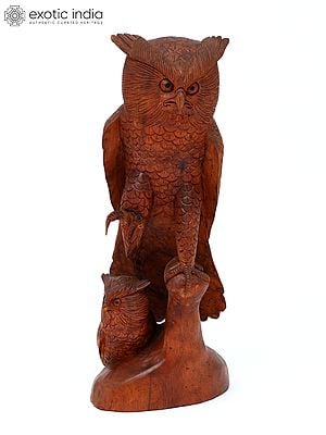 25" Mother Owl with Owlet | Wood Carving | Home Decor