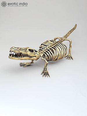 23" Crocodile Skeleton Decorative Showpiece | Collectible Item