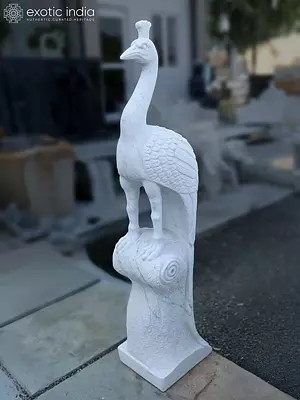 60" Peacock Standing on Pedestal Statue | Marble | Exquisite Indian Art