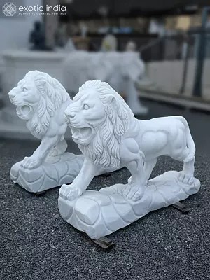 45" Pair of Lion | White Marble Statue | Home Decor | Exquisite Indian Art