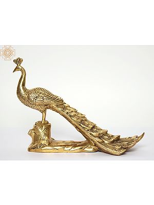 13" Brass Peacock Figurine | Home Decor