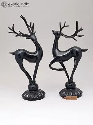 11" Brass Pair of Reindeer | Home Decor