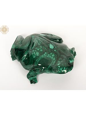 Malachite Frog Sculpture | Table Decorative Showpiece