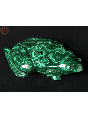 Malachite Frog Sculpture | Table Decorative Showpiece