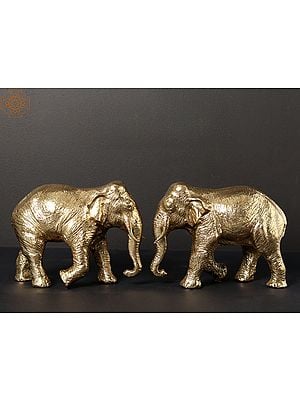 7" Pair of Elephants in Solid Brass