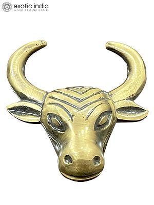2" Brass Bull Head Door Knob