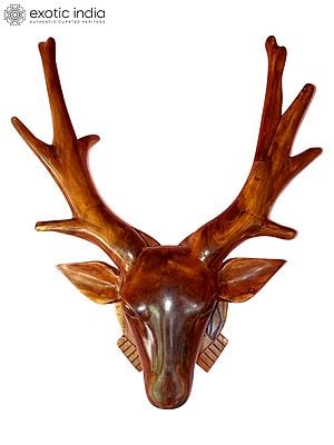 20" Wood Deer Head For Wall Hanging