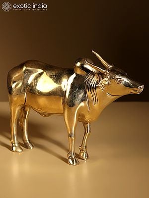 7" Brass Decorative Bull Statue | Home Decor