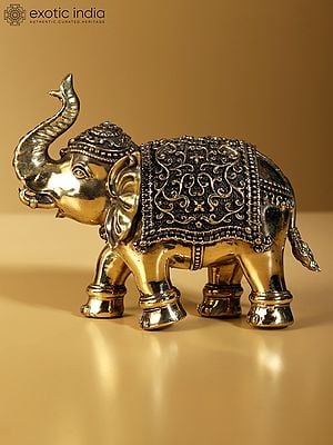 Superfine Elephant Figurine with Upraised Truk | Brass Statue (Multiple Sizes)