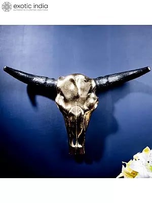 27" Aluminum Skull Of Bull Head For Wall | Wall Decorative Item