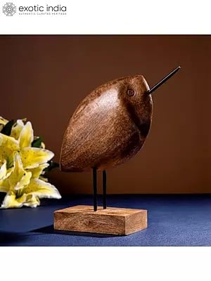 11" Kiwi Bird Table Accent | Showpiece For Room Decor
