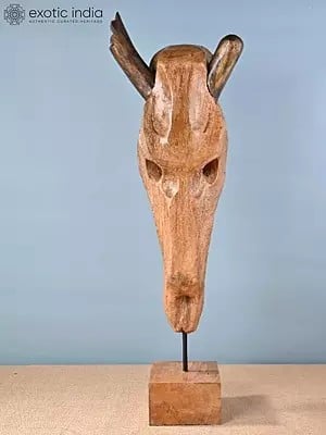 27" Decorative Skull Of Animal Face In Wood | Decorative Item