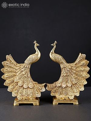 9" Pair of Peacocks | Brass Statues
