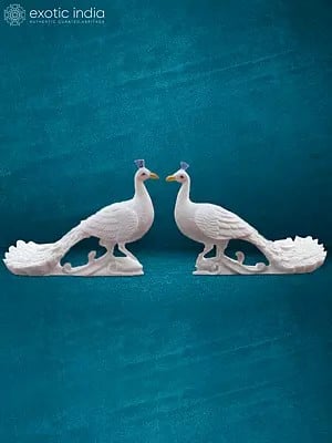 18" Beautiful Peacock Pair | Handcraft |Marble Sculpture