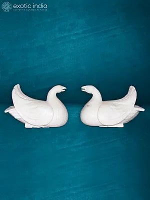 12" Pair Of White Doves | Pigeon Statue | Marble Sculpture