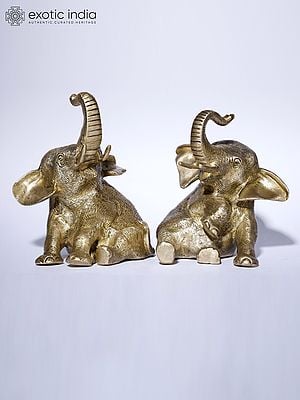 6" Pair of Cute Baby Elephants | Brass Statues