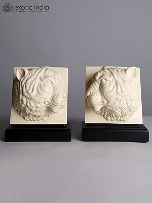 6” Pair of Two Tiger Heads | Decorative Showpiece Gift