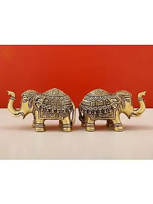 11" Brass Royal Elephant (Pair) | Handmade