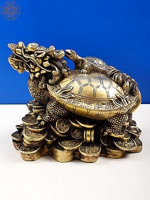 8" Brass Tortoise Piggy Bank | Dragon Tortoise | Handmade