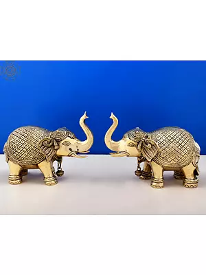6" Brass Royal Elephant Statue (Pair)| Handmade